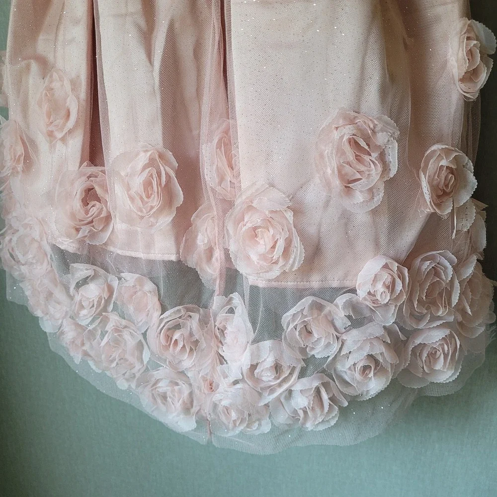 Nannette‎ Kids Girls Size 10 Dress Blush Pink 3D Rosette Tulle Formal Wedding
